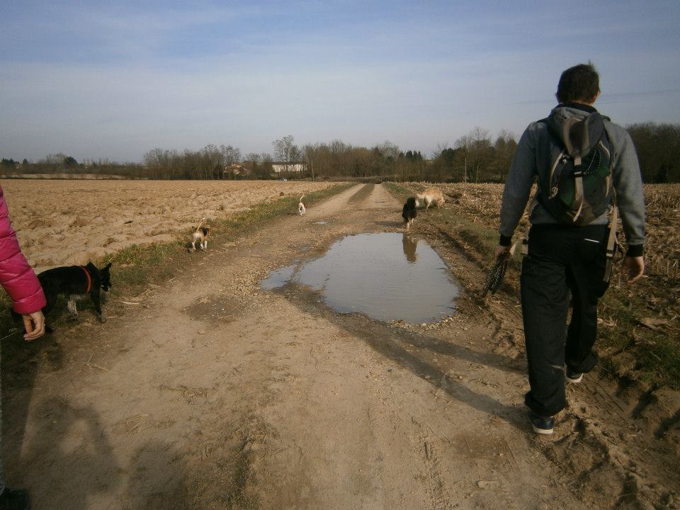 éducation et dressage de chiens Savoie